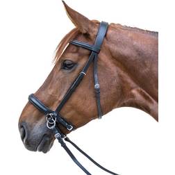 Waldhausen Mackey Star Bitless Bridle, Black Full Black