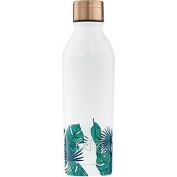 Root7 OneBottle Jungle Base 500ml Shaker