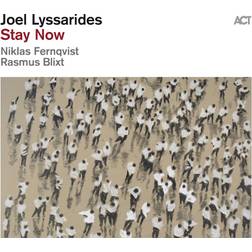 Stay Now Joel Lyssarides (Vinyl)