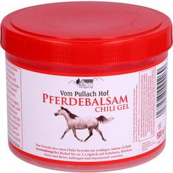 Axisis PFERDEBALSAM Chili Gel