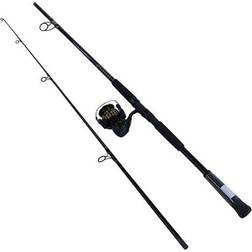 Daiwa BG Inshore Spinning Combo, Aluminum