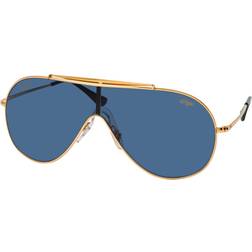 Ray-Ban Wings RB3597 924580