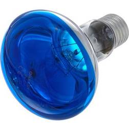 Omnilux R80 Lamp E27 Blue