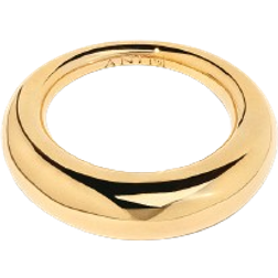 Ani Jewels Ellipse Ring - Gold