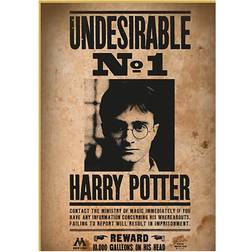 Thumbs Up Harry Potter "Wanted No. 1" Puzzle Fjernlager, 3 dages levering