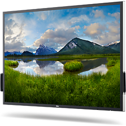 Dell P5524QT 55"