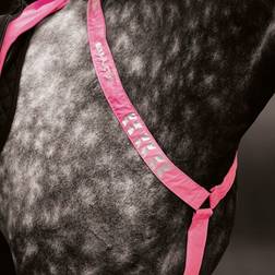 Shires Equi-Flector Rosa Reflexbrösta Pony/Cob