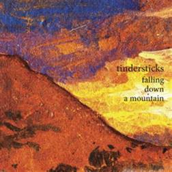 Falling Down a Mountain Tindersticks (Vinyl)