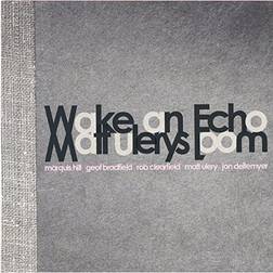 Wake An Echo Matt Ulery (Vinyl)