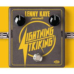 Lenny Kaye Presents Lightning Striking Lenny Kaye Presents Lightn (Vinyl)