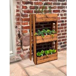 Charles Taylor Regular Herb Garden Planter W56 X X