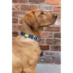 BUILT Pets Reflective Collar Medium