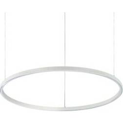 Luminosa Lighting Oracle Pendant Lamp