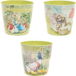 Beatrix Potter Rabbit Eco Set 1