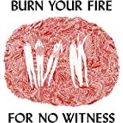 Olsen, Angel: Burn Your Fire For No Witness (Vinyl)