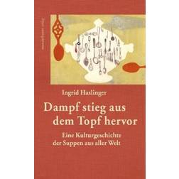 Dampf stieg hervor. Dünsteinsatz