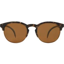 Sunski Avilas Lifestyle Collection Tortoise Amber