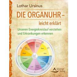 Die Organuhr leicht erklärt