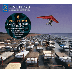 Pink Floyd A Momentary Lapse Of Reason (Vinyl)