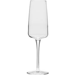 Bormioli Rocco Nexo 24cl, 6-pack Champagneglas