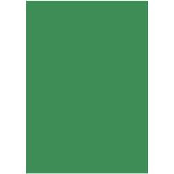 BNTOFFICE Colored Paper A4 80g/m² 50stk