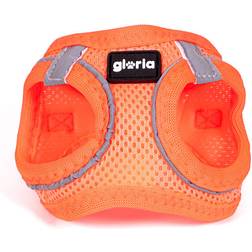 Gloria Trek Star 24-26 Orange XXS