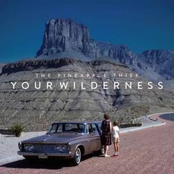 Your Wilderness The Pineapple Thief (Vinyl)