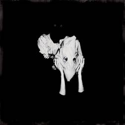 Kveikur Indie Exclusive Sigur Ros (Vinyl)