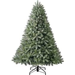 Evergreen Vermont Weihnachtsbaum