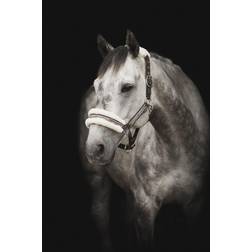 Källquist Equestrian Halter Horse Unique - Sort/Grå