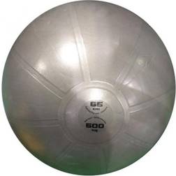 Toorx ABS Träningsboll 65 cm