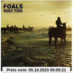 Foals Holy Fire Music CD (Vinyl)