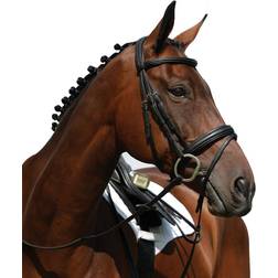 Collegiate Syntovia Padded Raised Flash Bridle - Black