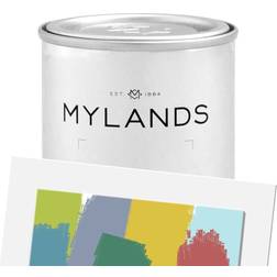 B&Q Mylands Indian Lake 288 Marble Emulsion Wall Paint