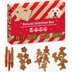 Rosewood Meaty Dog Treats Christmas Box