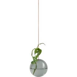 Studio About Hanging Flower Bubble Medium Vase