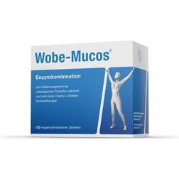 Wobe-mucos magensaftresistente tabletten 120 tablett 120 Stk.