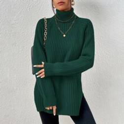 Shein Turtleneck Raglan Sleeve Split Hem Sweater