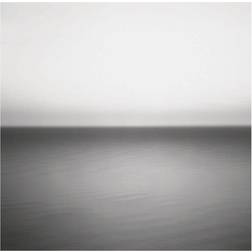 U2: No Line On The Horizon (Vinyl)