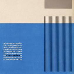 Preoccupations (Vinyl)