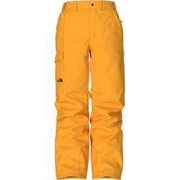 The North Face Men’s Freedom Pants - Summit Gold