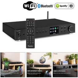 Audizio DAB-radio internetradio Connect Adria