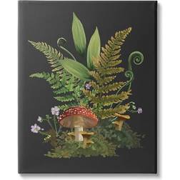 Stupell Industries Ferns Sprouting Woodland Mushroom Plants Botanical & Floral Graphic Art Gallery Wrapped Wall Decor 30x40"