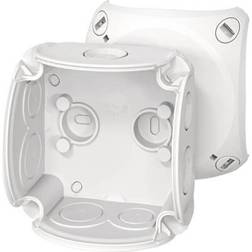 Hensel Hensel 55109984 Forgreningsdåse Kan plomberes B x H x T 84 x 84 x 55 mm 1 stk