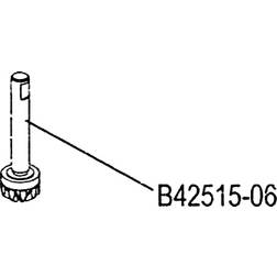 TFL-B42515-06 Shaft with Gear