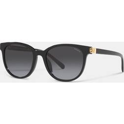 Coach HC8350U Solbriller - Black