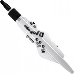 Roland Aerophone AE-20W