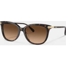 Coach CL926 Sunglasses, Gradient HC8378U Tortoise