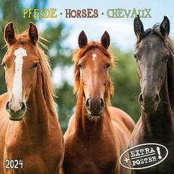 Tushita PaperArt Horses Pferde 2024 Calendar