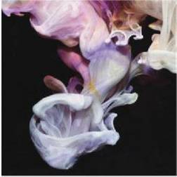 Simian Mobile Disco & Deep Throat C: Murmurat (CD)